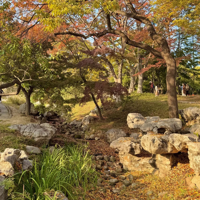  청도의 가을, 이 공원에서 모든 걱정이 사라졌어요 🍂