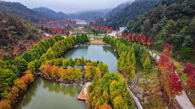 雲端之上的秋日童話秘境 雲端之上的秋日童話秘境