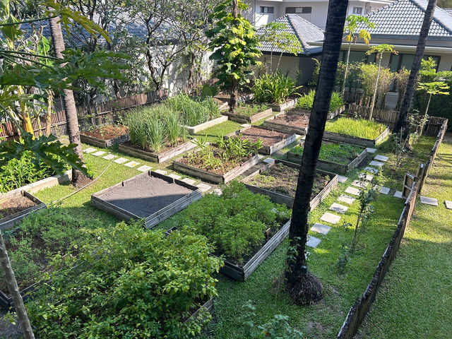 蘇梅島聖塔拉度假酒店,完美嘅海島體驗 酒店:蘇梅島聖塔拉海灘度假酒店 地址:38/2 Mo 蘇梅島聖塔拉度假酒店,完美嘅海島體驗 酒店:蘇梅島聖塔拉海灘度假酒店 地址:38/2 Mo