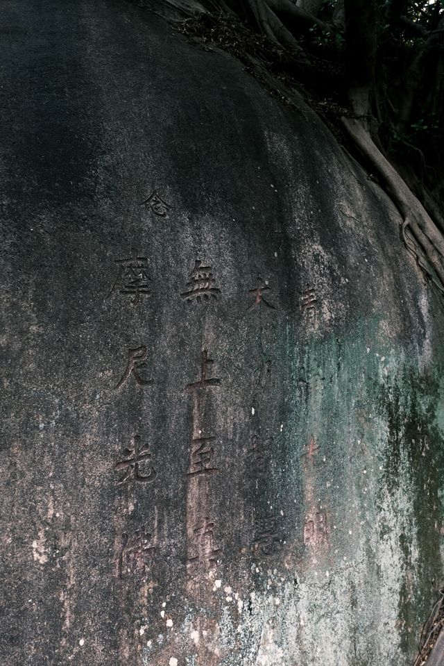 泉州草庵寺旅行攻略：從武俠秘境到歷史尋蹤