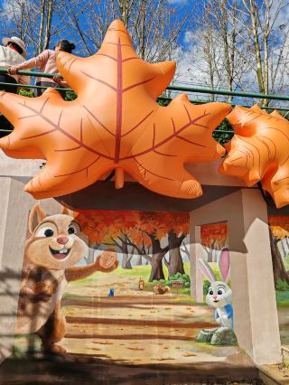 Absolutely stunning! Gejiu Shilin Tianwaitian Red Maple Festival check-in guide, the photos are breathtaking!