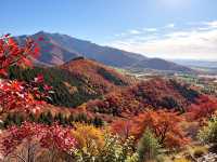 北京密雲紅花峪這才是秋日的私藏秘境！0元人少景美絕絕子