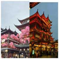 海旅遊攻略這些地方值得去