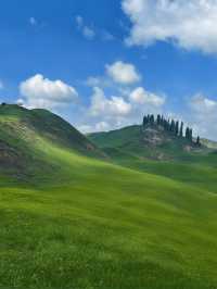 秋日包車遊伊犁一路美景太治癒