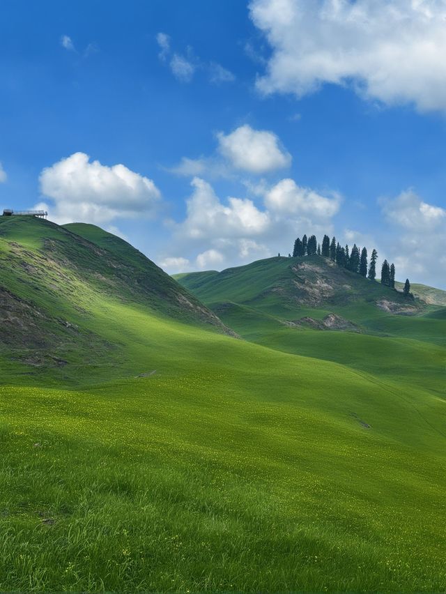 秋日包車遊伊犁一路美景太治癒 秋日包車遊伊犁一路美景太治癒