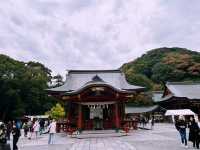 鶴岡八幡宮｜鎌倉最具代表性的神社散步路線 ⛩️🍁