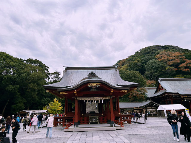 鶴岡八幡宮｜鎌倉最具代表性的神社散步路線 ⛩️🍁