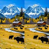 秋色中國｜承包你一整個秋天的詩意！