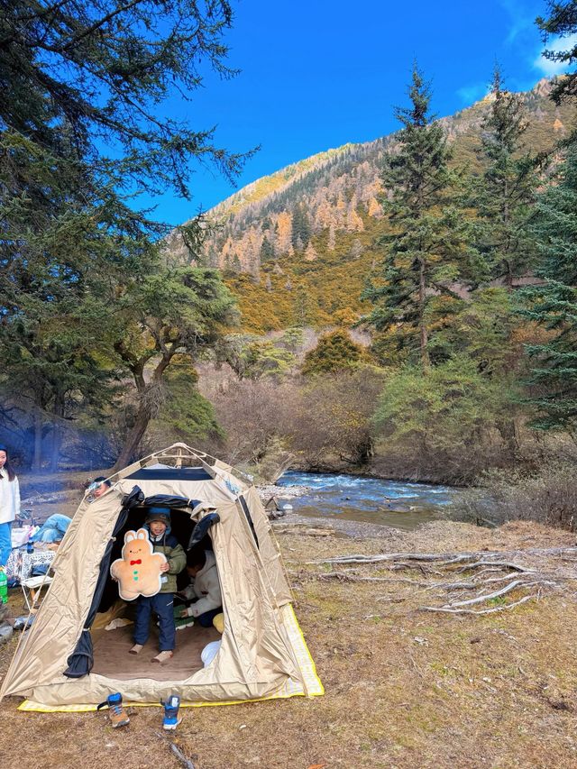 川西3日反向遊|彩林、雪山摘蘋果