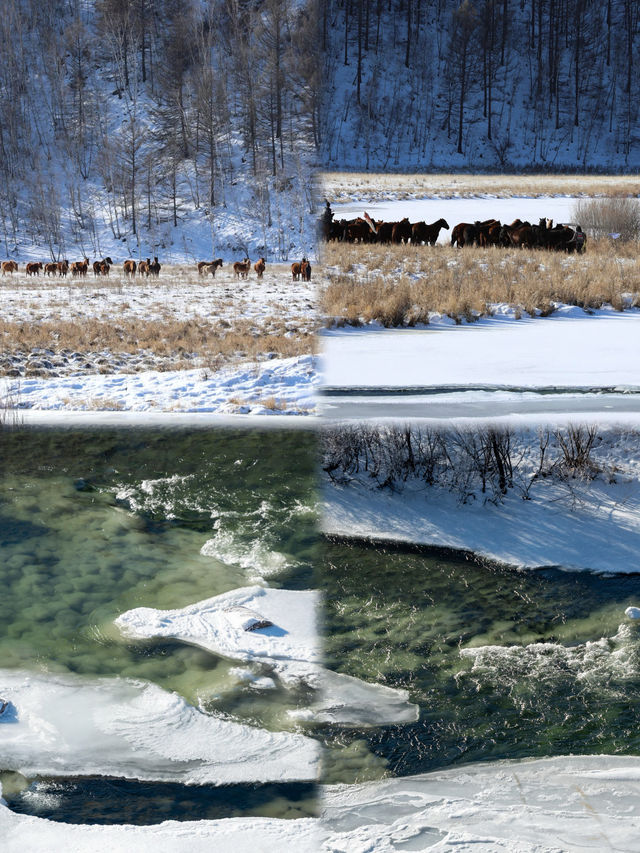 阿爾山私藏秘境！霧淞+翡翠河美到窒息