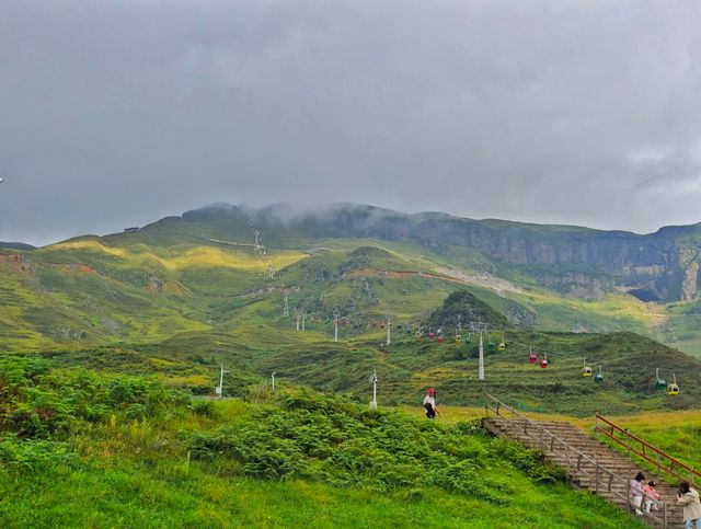 阿西里西韭菜坪|貴州 “天上花海” 阿西里西·韭菜坪位於貴州畢節市赫章縣,主峰海拔2777米,是世 阿西里西韭菜坪|貴州 “天上花海” 阿西里西·韭菜坪位於貴州畢節市赫章縣,主峰海拔2777米,是世