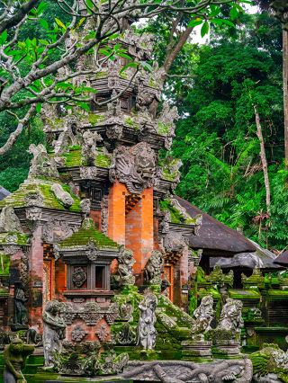 Ubud One-Day Tour, Discover Bali