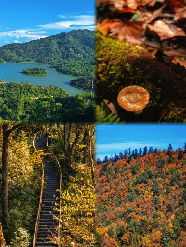 成都周邊賞秋封神地