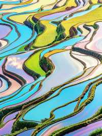 《國家地理》沒騙我12月的元陽梯田