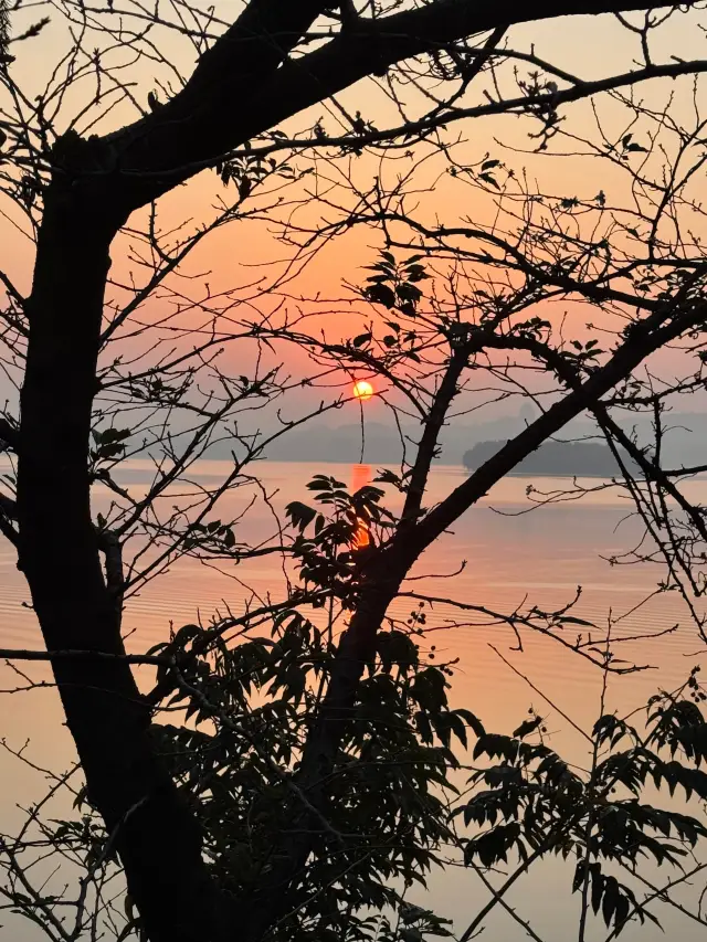 The Most Beautiful Sunrise Guide at West Lake｜Gushan Sunrise is Absolutely Stunning