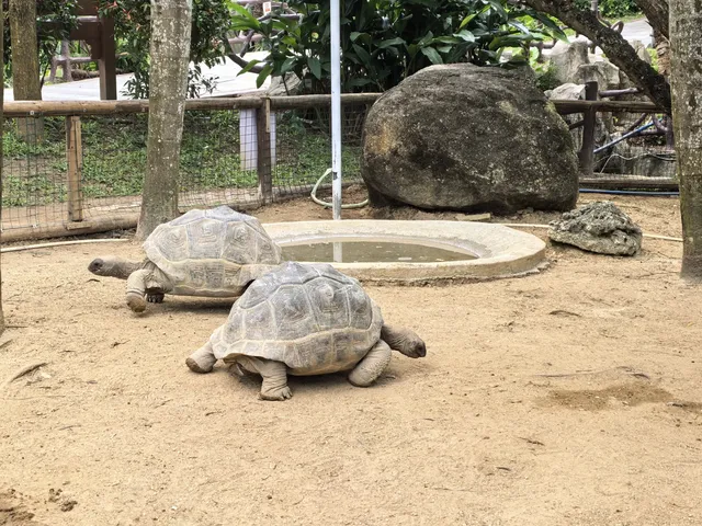 三亞蜈支洲島 三亞蜈支洲島