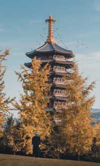 接下來的韶關,將是上帝打翻的調色盤!