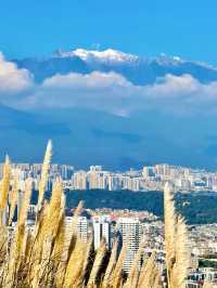 11.26實況!大理最美雪山機位被我找到啦