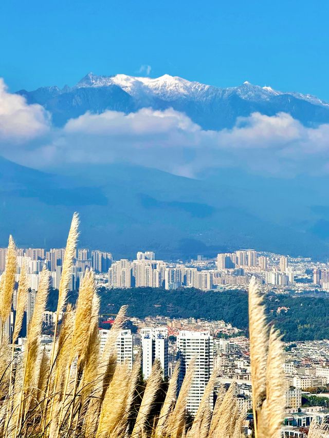 11.26實況!大理最美雪山機位被我找到啦 11.26實況!大理最美雪山機位被我找到啦