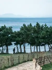 邊旅遊邊攝影真的會很上頭,青島攻略