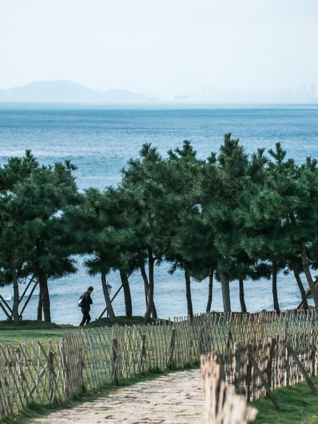 邊旅遊邊攝影真的會很上頭,青島攻略 邊旅遊邊攝影真的會很上頭,青島攻略