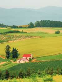 速速保存！夏天去20℃北海道這樣玩封神