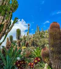 超美法國蔚藍海岸的中世紀懸崖小鎮老鷹巢村埃茲全攻略