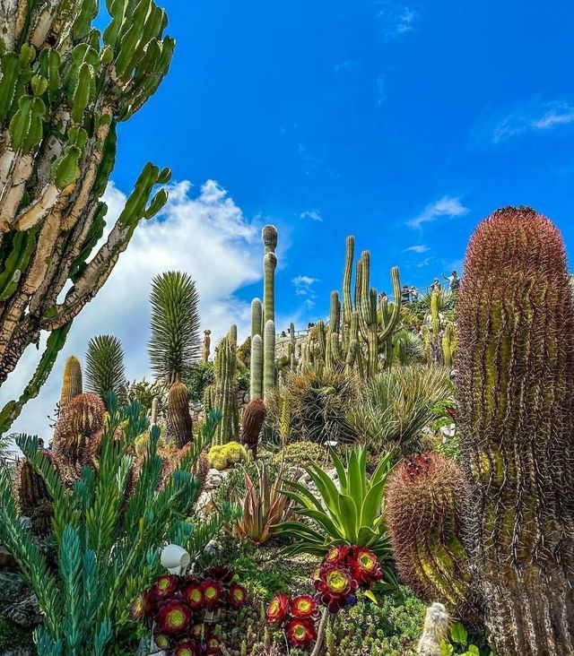 超美法國蔚藍海岸的中世紀懸崖小鎮老鷹巢村埃茲全攻略 超美法國蔚藍海岸的中世紀懸崖小鎮老鷹巢村埃茲全攻略