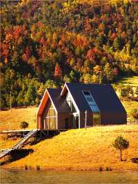 玉龍雪山腳下這片牧場宛如桃源