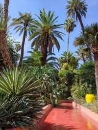 免簽摩洛哥等多國連遊攻略來啦