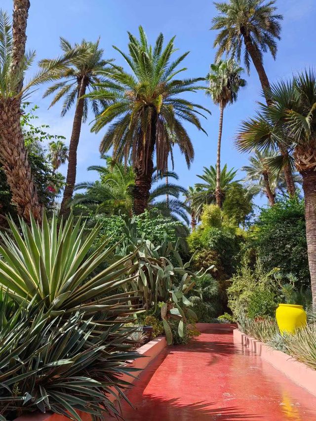 免簽摩洛哥等多國連遊攻略來啦 免簽摩洛哥等多國連遊攻略來啦