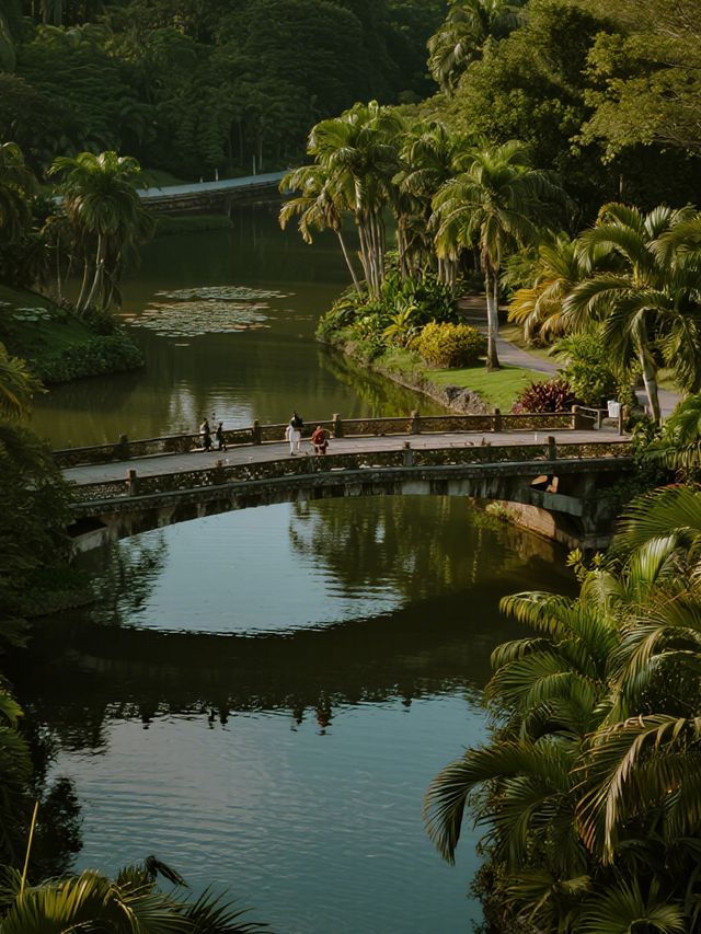 12月仙湖植物園親子遊|不走回頭路攻略 12月仙湖植物園親子遊|不走回頭路攻略
