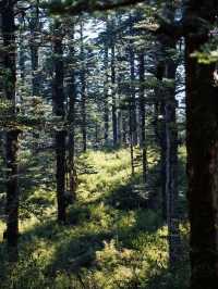 亞洲最大桌山瓦屋山雲海全攻略沒下雪也絕美