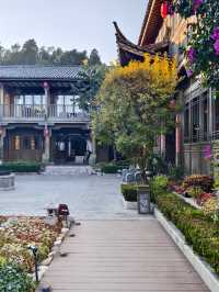 晴日暖庭，邂逅納西浪漫