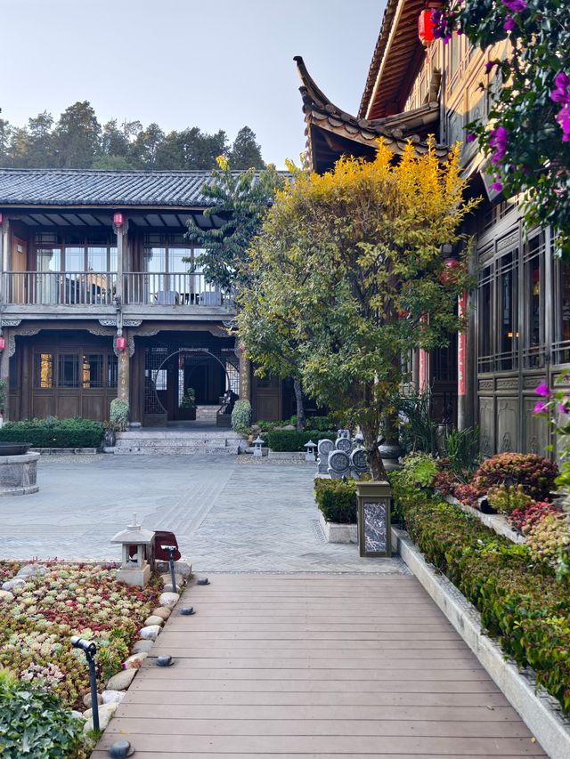 晴日暖庭，邂逅納西浪漫