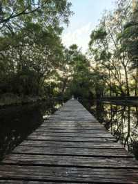 藏在深圳市中心的秘密角落,太美啦!