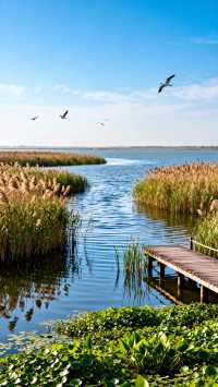 洪澤湖旅遊攻略