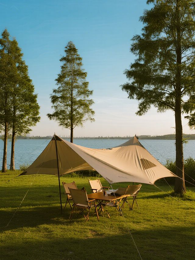 上海冬日親子露營!1h直達免費「看海」秘境 上海冬日親子露營!1h直達免費「看海」秘境