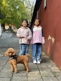 洛陽|週末泡溫泉逛少林寺親子兩日遊