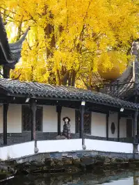 在成都拍到了和蘇州一樣的園林秋景！