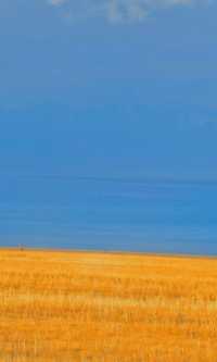 賽里木湖秋日環湖終極攻略 | 闖入一場盛大的金色夢境