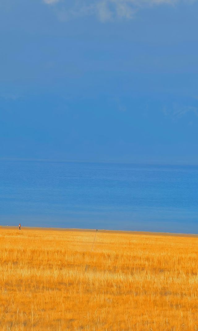 賽里木湖秋日環湖終極攻略 | 闖入一場盛大的金色夢境 賽里木湖秋日環湖終極攻略 | 闖入一場盛大的金色夢境