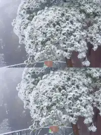 江西！4天超詳細遊玩攻略