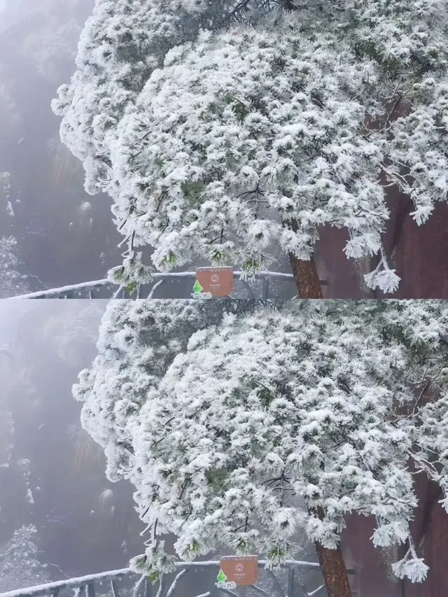 江西！4天超詳細遊玩攻略