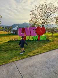 帶娃也能征服鼎湖山？真的做到了！！