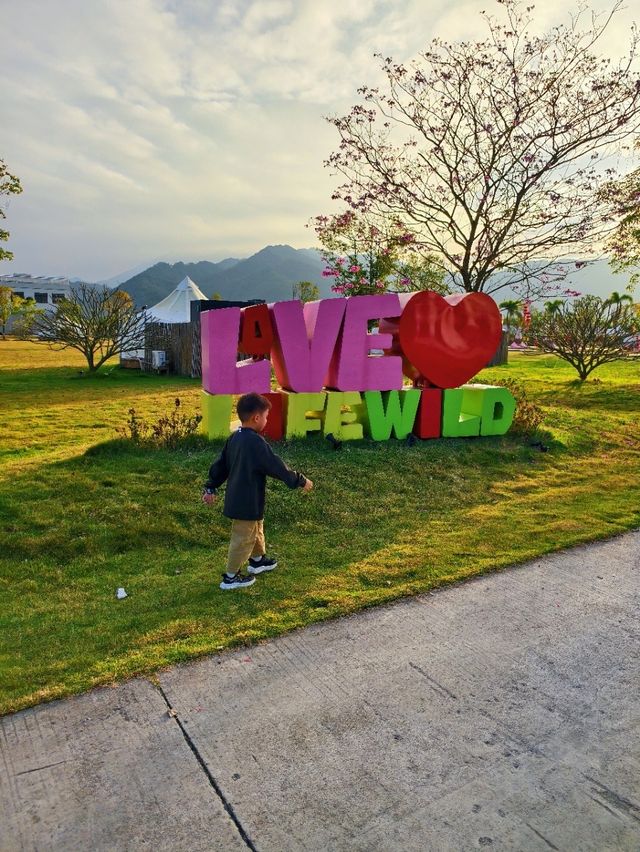 帶娃也能征服鼎湖山？真的做到了！！