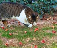 上海12月:冬名義,秋肌理,節日序章已啟