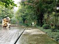 Hanoi’s Urban Oases: A Guide to the Best City Parks