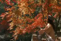 總要去莫干山看一次楓葉吧!