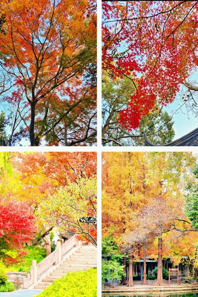 上海魔都秋日封神0元拍出國風大片